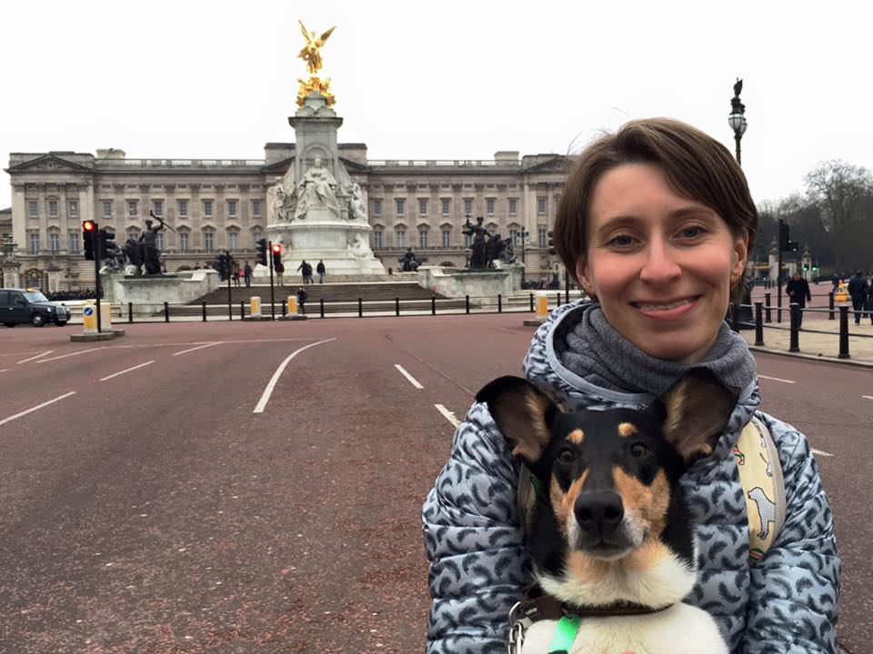 12799256_10154230876161030_5050338986775428497_n