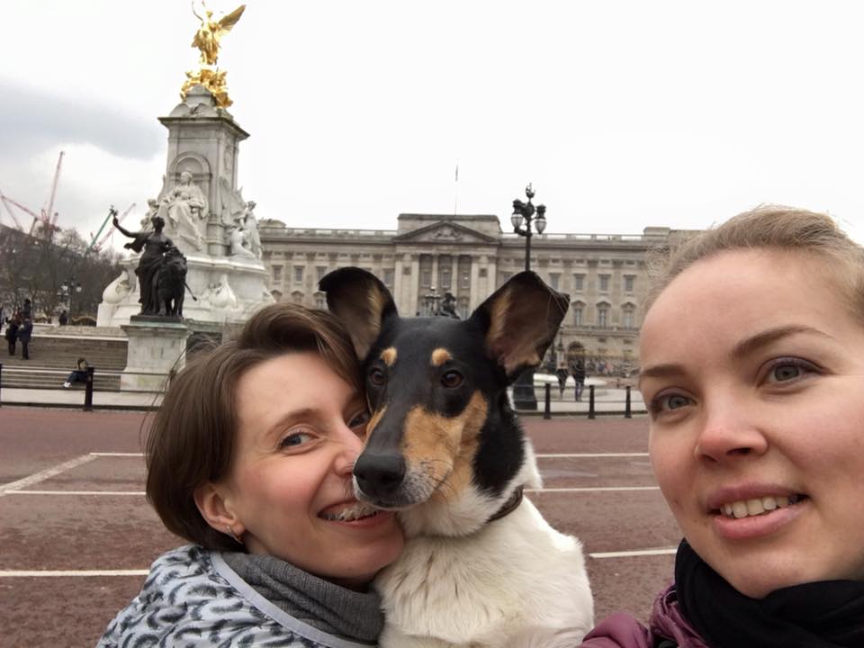 12801459_10154228975231030_2803290268699133679_n