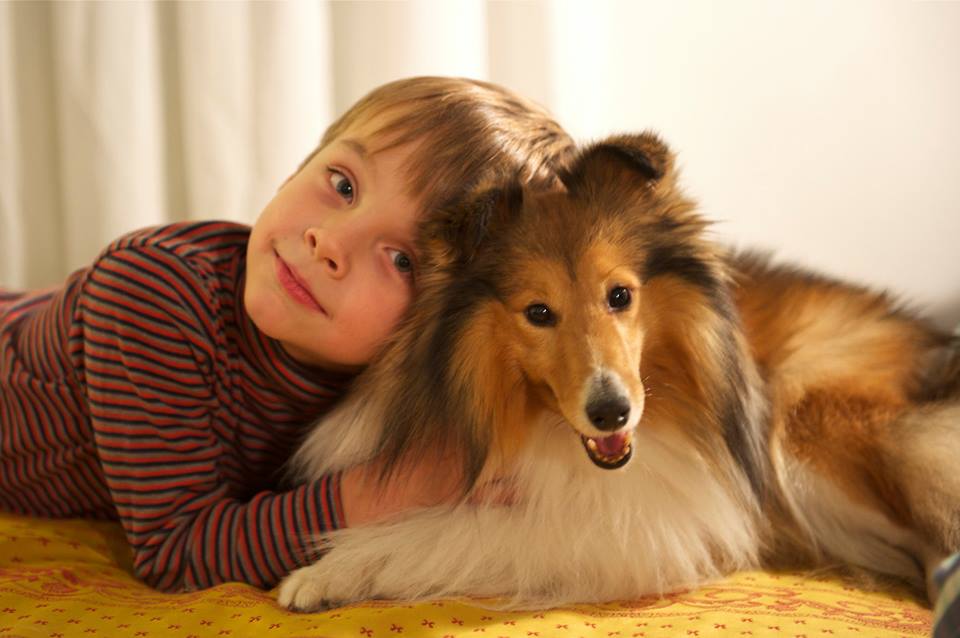 1558565_10152900714116030_8331881406204232571_n