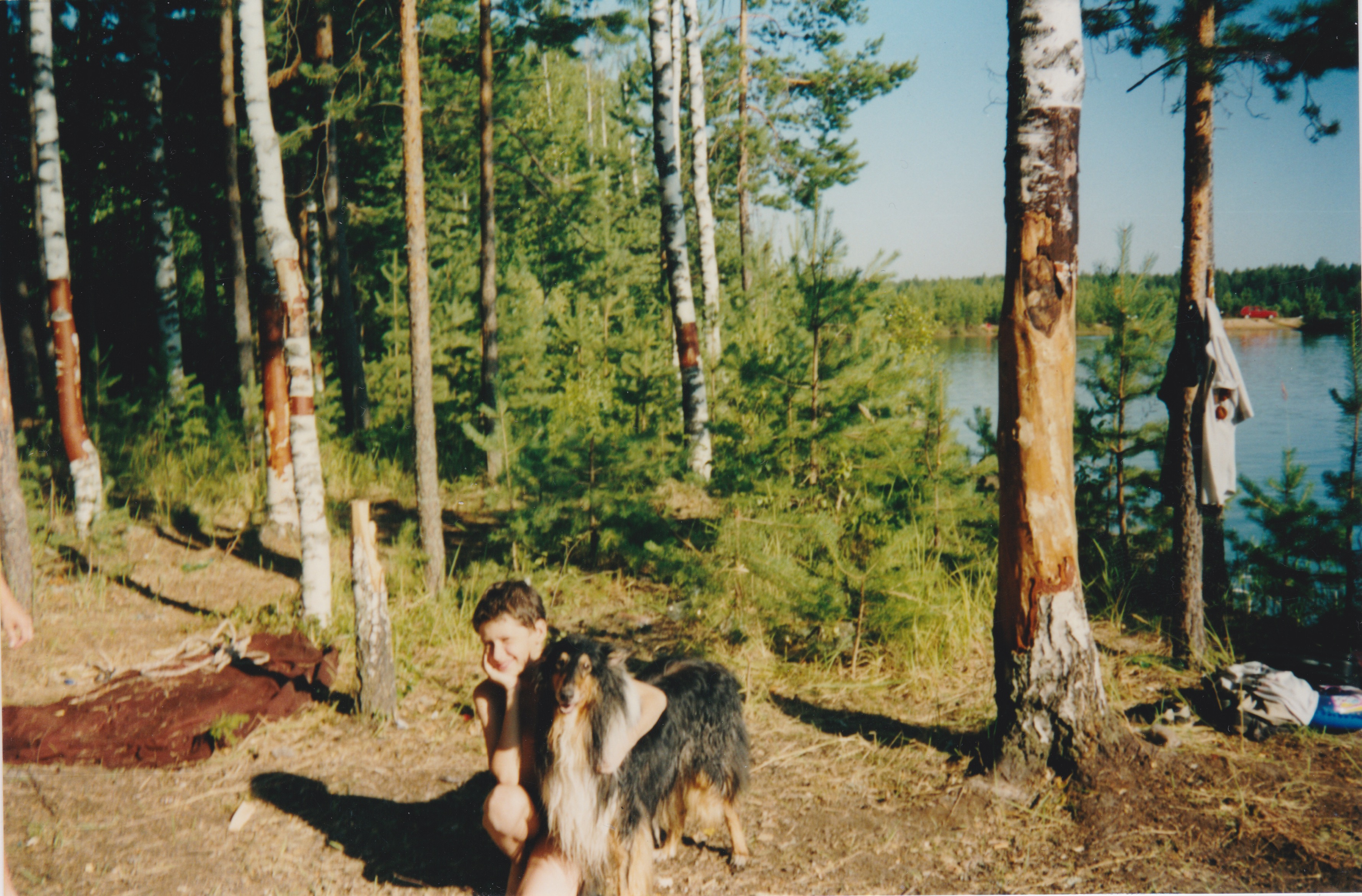 Сканировать 1