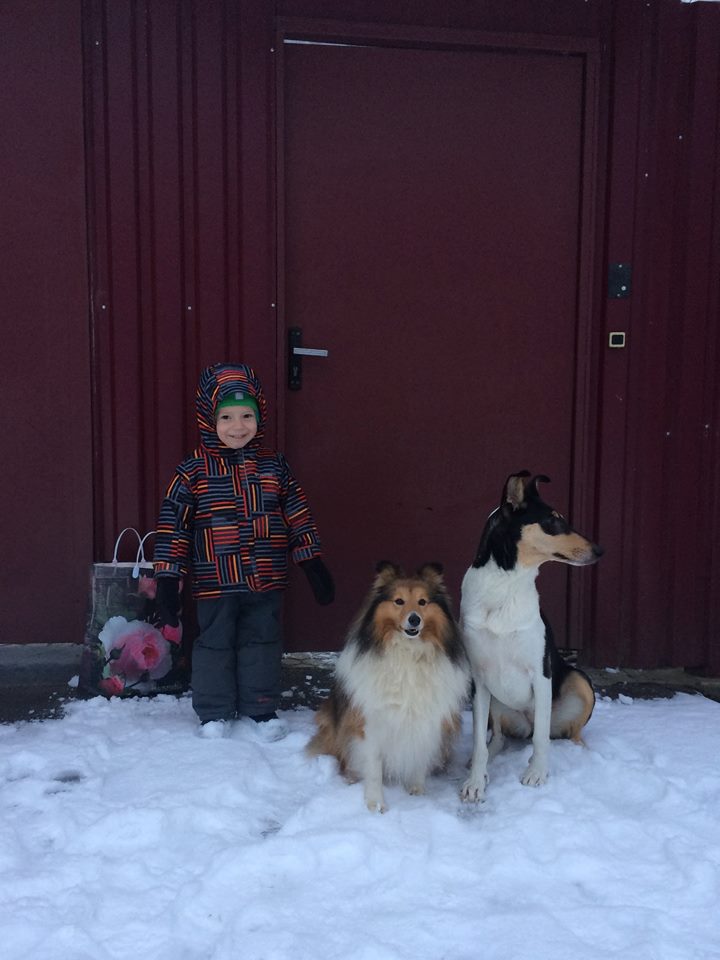 12274401_10206585989267081_1606375379340589689_n