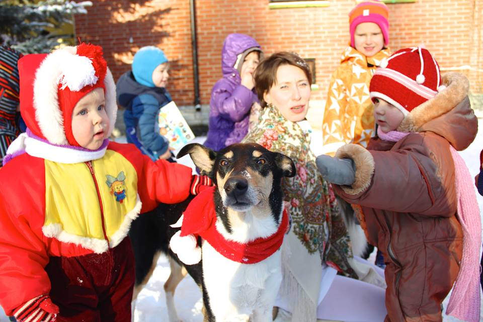 26493730043_aecc671de9_b