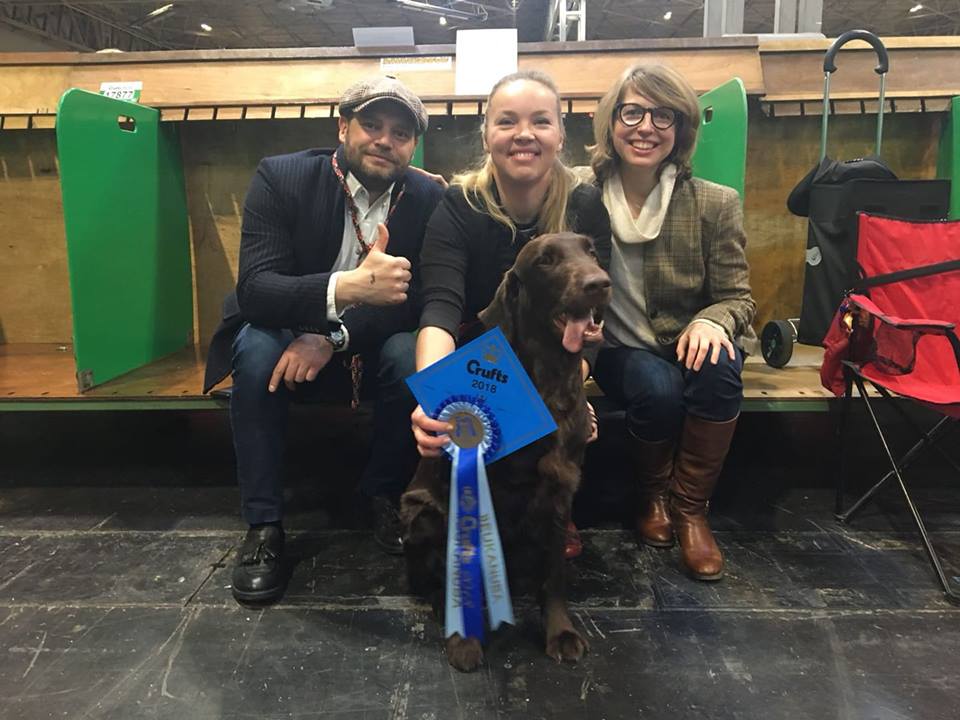 29062929_2032202670128587_3455882311592050688_n