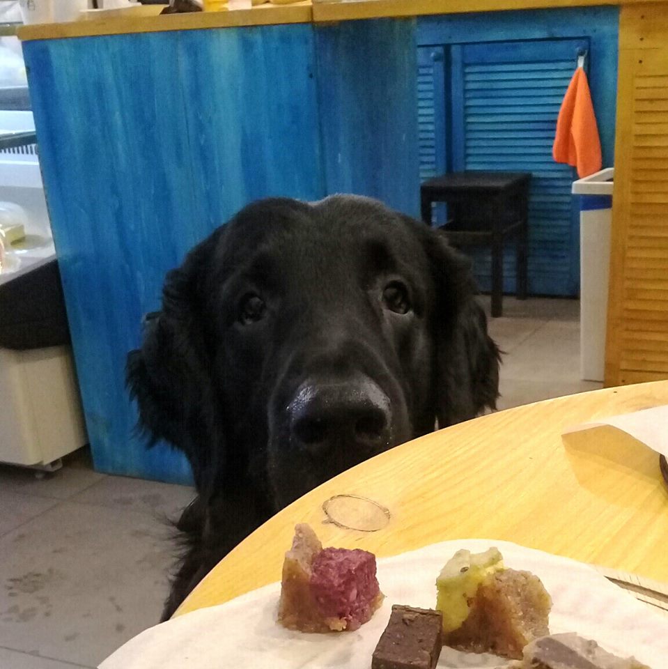 26805429_10156886782683765_3681820958034479232_n