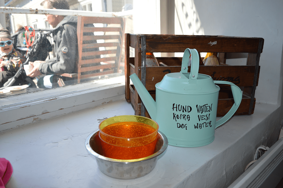 30571643_10157157384248765_3881107112100626432_n