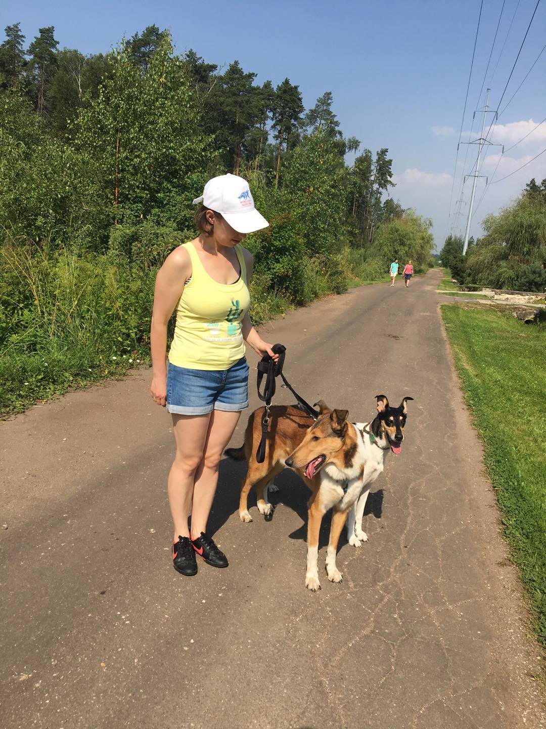 20495548_10211650338112637_1798375314_o