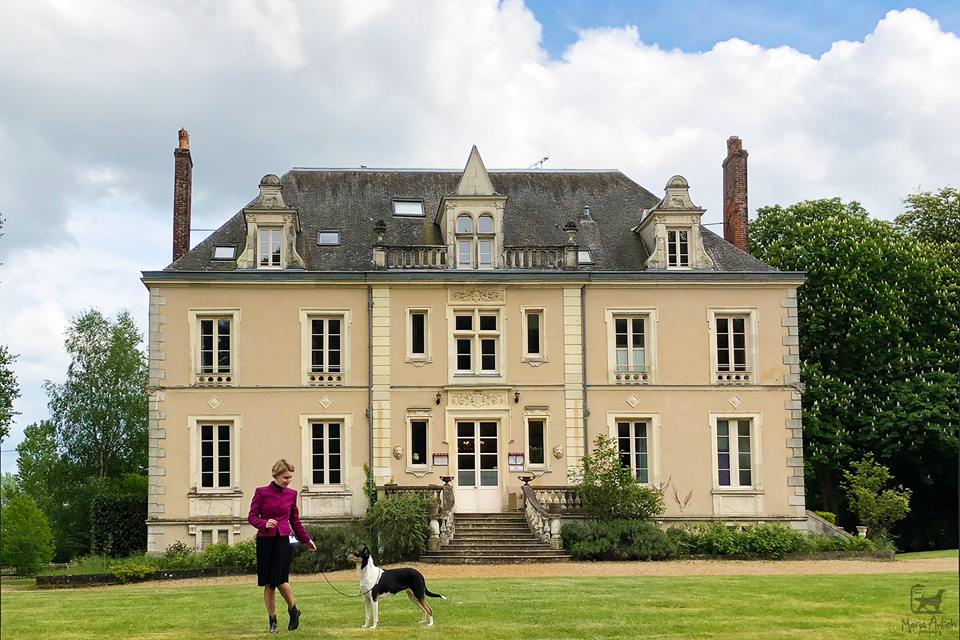 31543340_10213791716765765_2859569450308893650_n