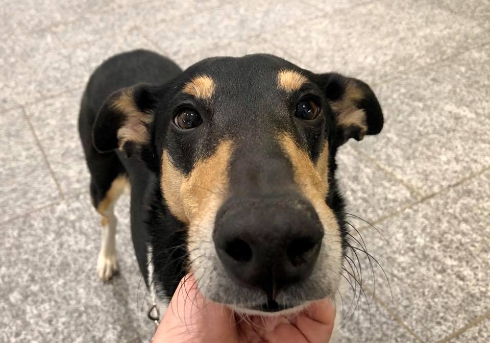 31689296_10156884263826030_16567905063796736_n