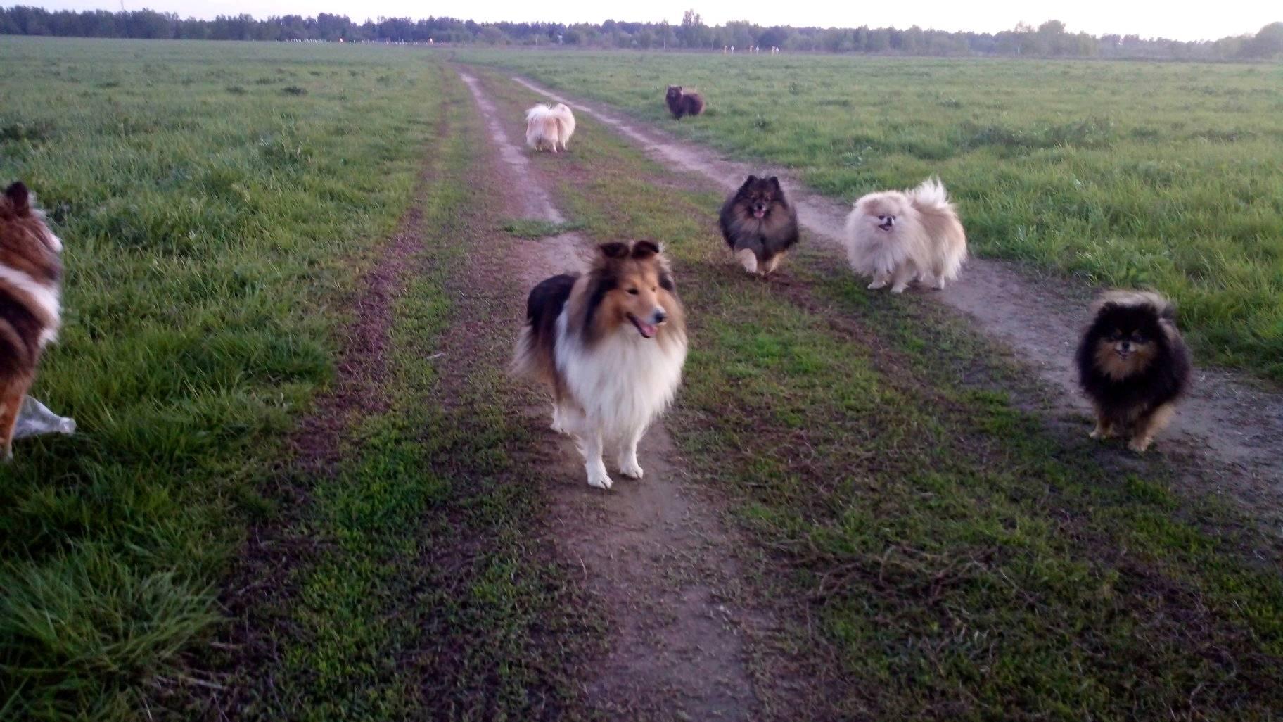 32256300_2003120536426009_615137538394292224_n