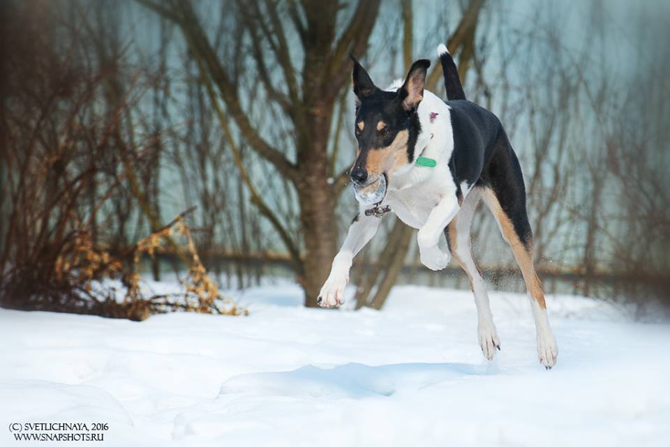 934077_1105034479542049_6332004024460828905_n