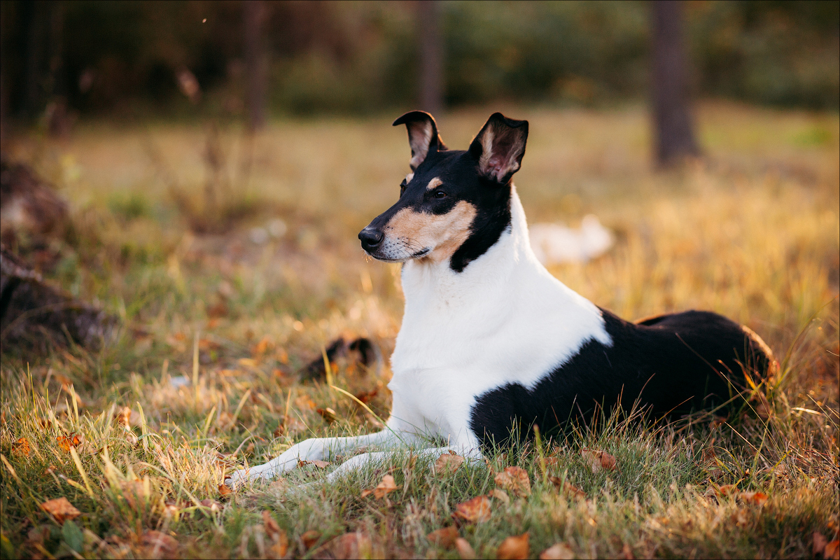 V-Gostyax-y-skazky-72