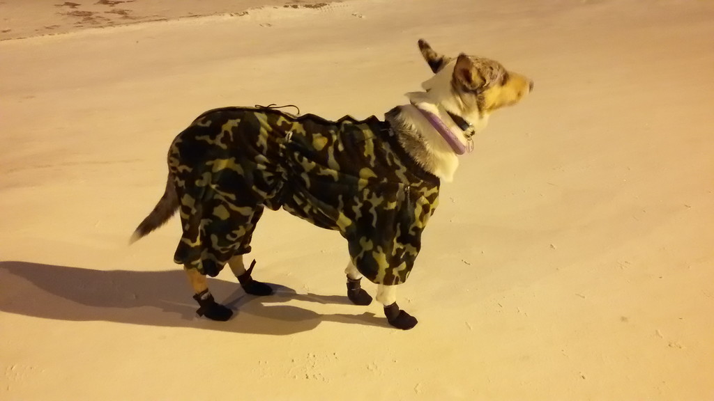 0_17859d_ff877460_XXL