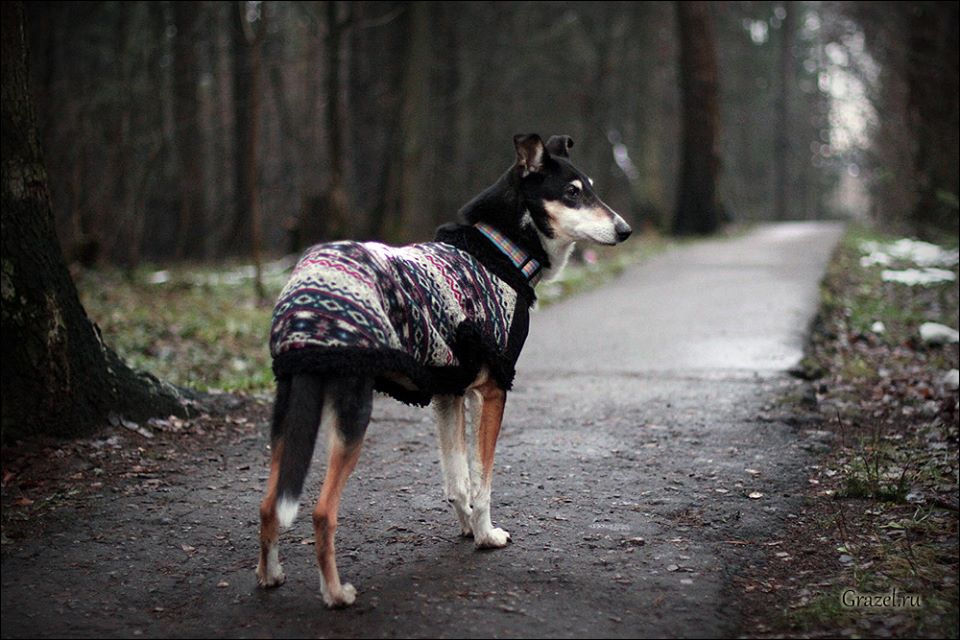 23659546_1926563267383667_9068383327102163995_n