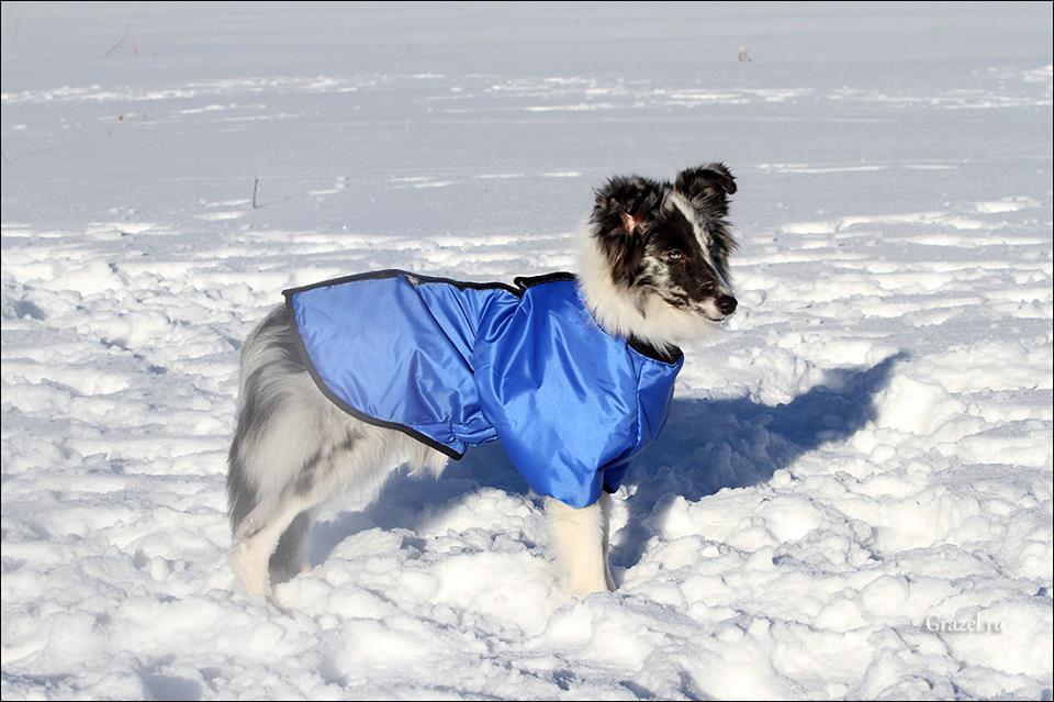 24852416_1953343611372299_2350836625637596539_n