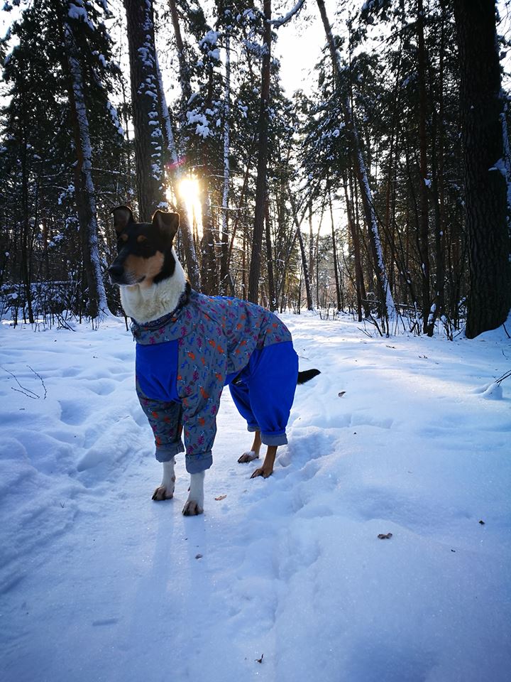 44974692_2136918139674702_6047367055743647744_n