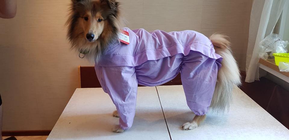 44979634_1197921830365003_3843748056335908864_n