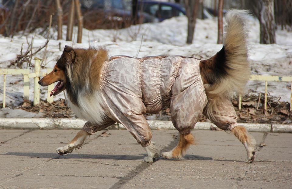 44995065_1717148065078268_989503500847153152_n