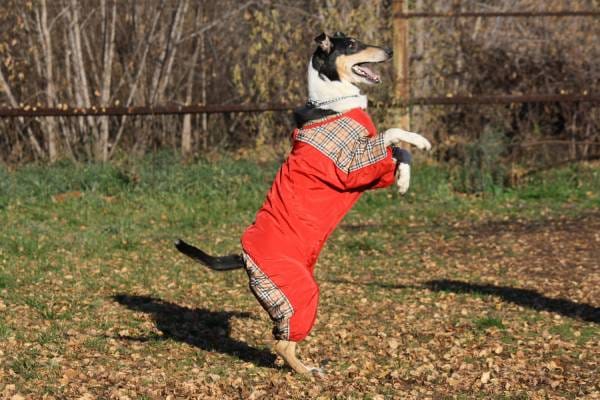 44995077_1932184973539221_4991022134215049216_n