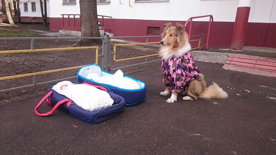 45011766_2008947322505699_7213861782287286272_n