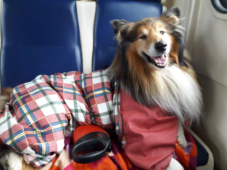 45130419_2023077641086027_6925739317188886528_n