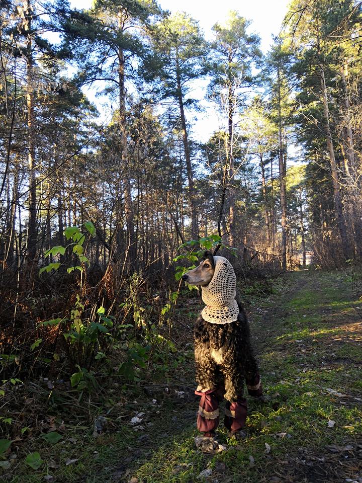 45193713_936589343218723_5247937976826068992_n