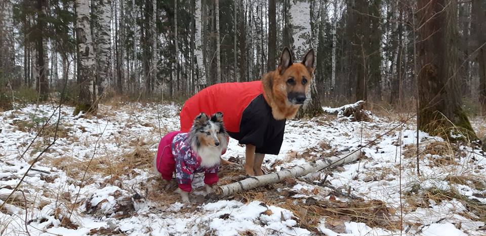 45304558_467916113733737_793375365463539712_n