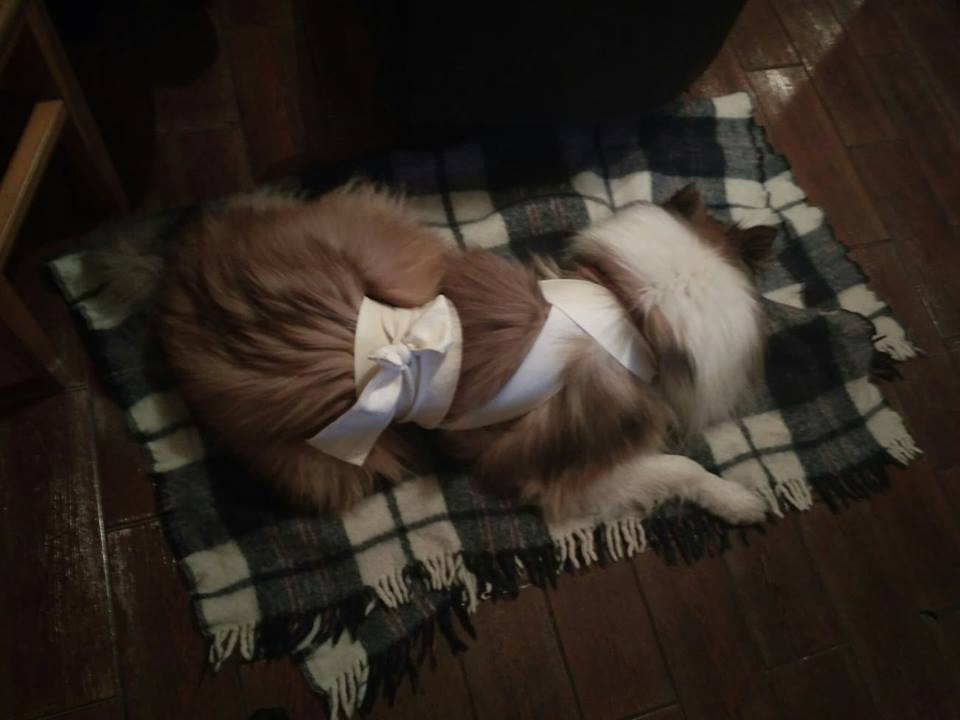 45441966_707084209667083_4579619938624339968_n