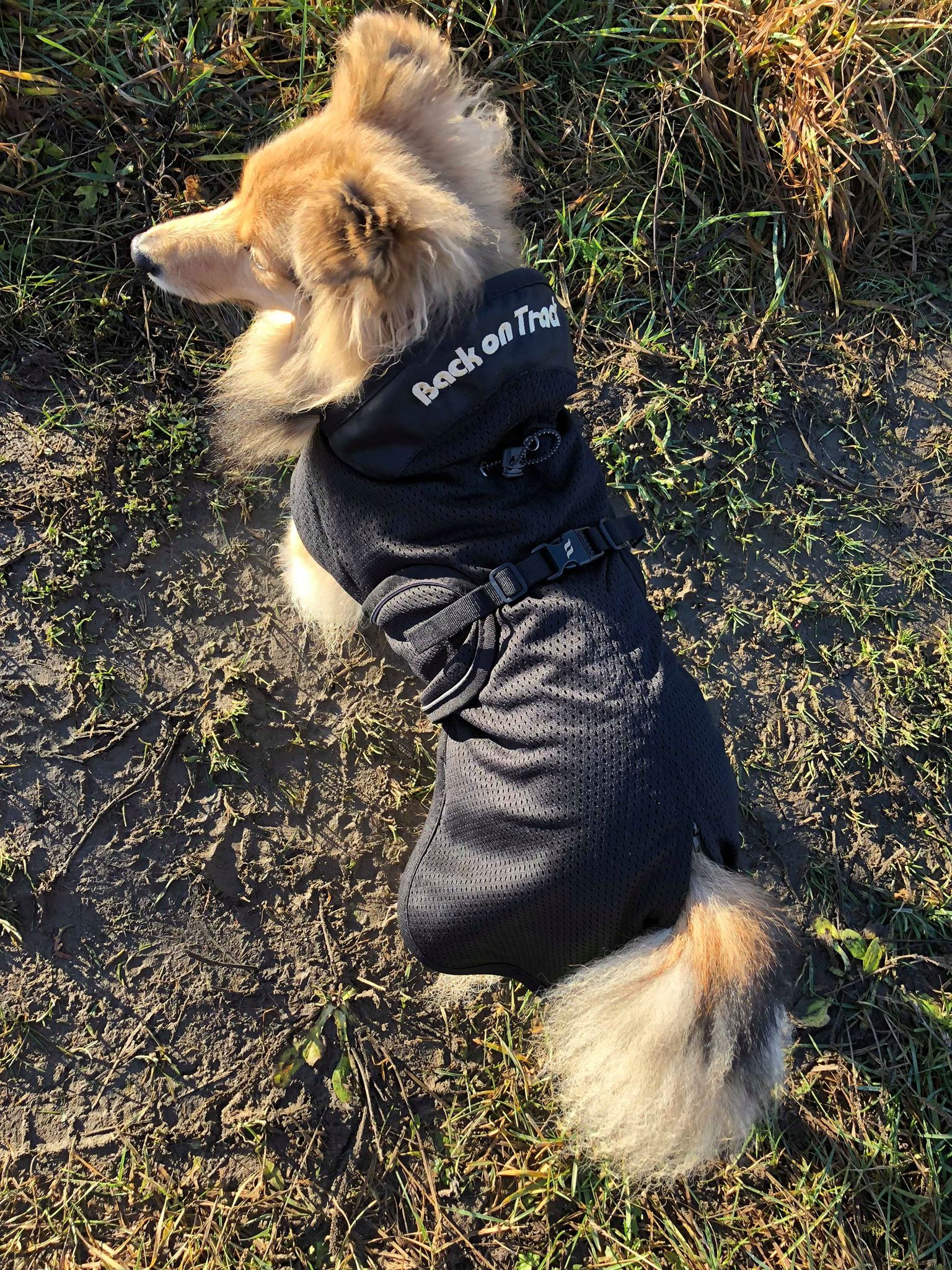 45472384_1914946628552970_6031363921699405824_n