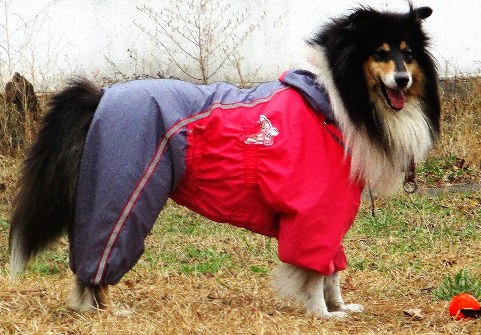 45775900_1998734520186120_6097423460764483584_n